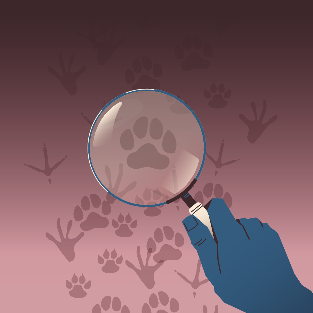 Nueva ley: Exponer la crueldad animal